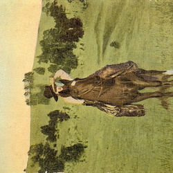 S. A. Longenecker Postcards