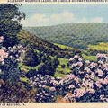 Allgy Mt 17mi W