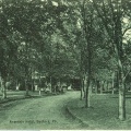 Arandale Hotel Bedf