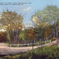 Tuscarora