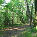 Bish Cemetery 1