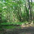 Bish Cemetery 2