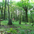 Bish Cemetery 5