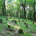 Bish Cemetery 7