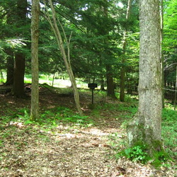 Granny Lewis Grave, Benezette Township, Elk County