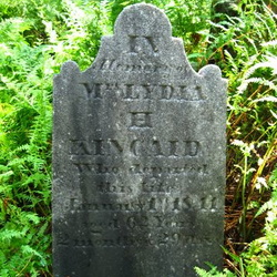 Kincaid Grave, Elk County