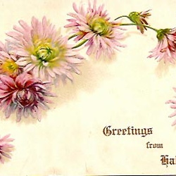 Post Card Gallery by Perry Haupt