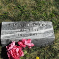 Anderson, B P (32569 visits) Anderson, B P