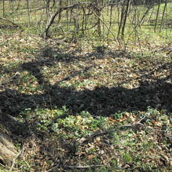 Eldridge Cemetery, Jenks Township