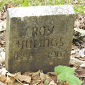 hulings  roy
