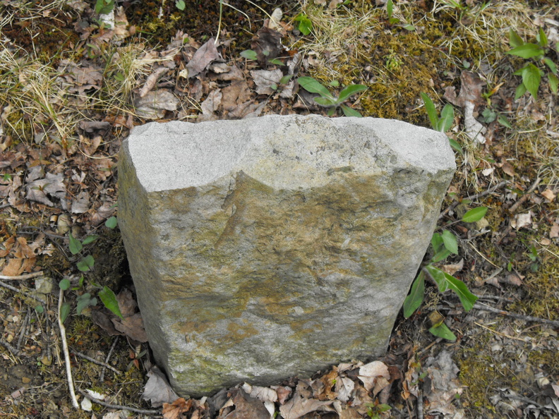 unknown_2.jpg