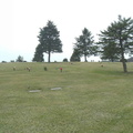 Haven Rest View
