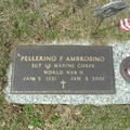 Ambrosino Pellerino