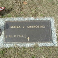 Ambrosino Sonja