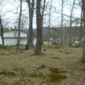 Old White Church Cemetery