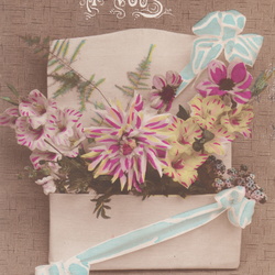Vintage Postcards, Luzerne County