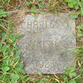 Bush Charles I (3031 visits) Bush Charles I