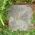 Bush Lois I (2925 visits) Bush Lois I