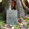 loucks cemetery 018