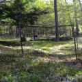 loucks cemetery 038