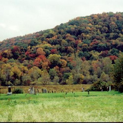 Warren Cemeteries