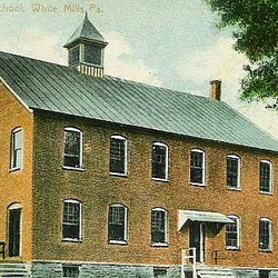 Schools, Wayne County