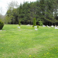 DSCF2372
