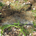 DSCF2273