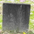 DSCF2225