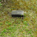 DSCF2082