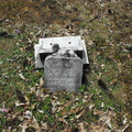 DSCF2275