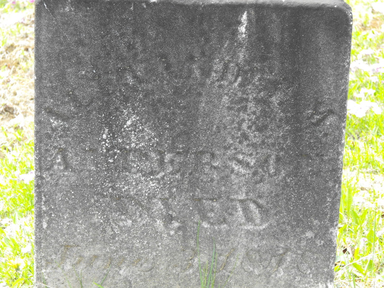 DSCF2226.JPG